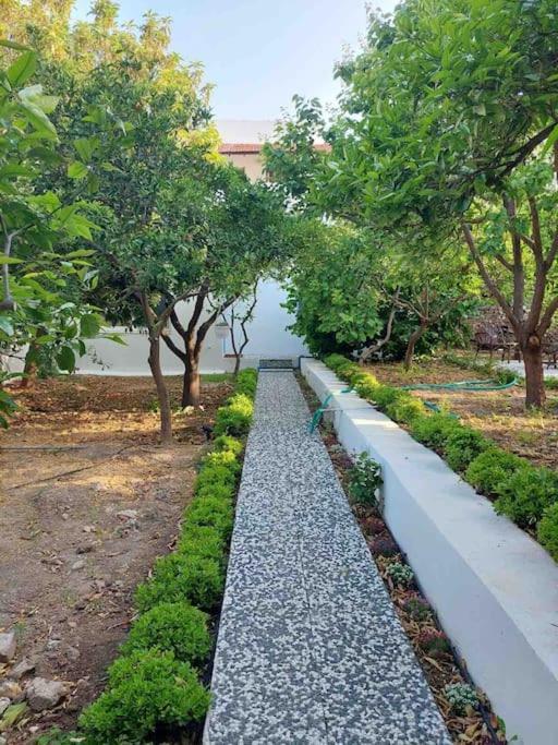 Mel'S Garden House In The Heart Of The City Bodrum 외부 사진